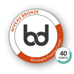 Bronze-40points niveau bronze 40 points